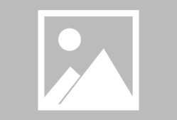 开云首页体验 蒂姆被谁淘汰 